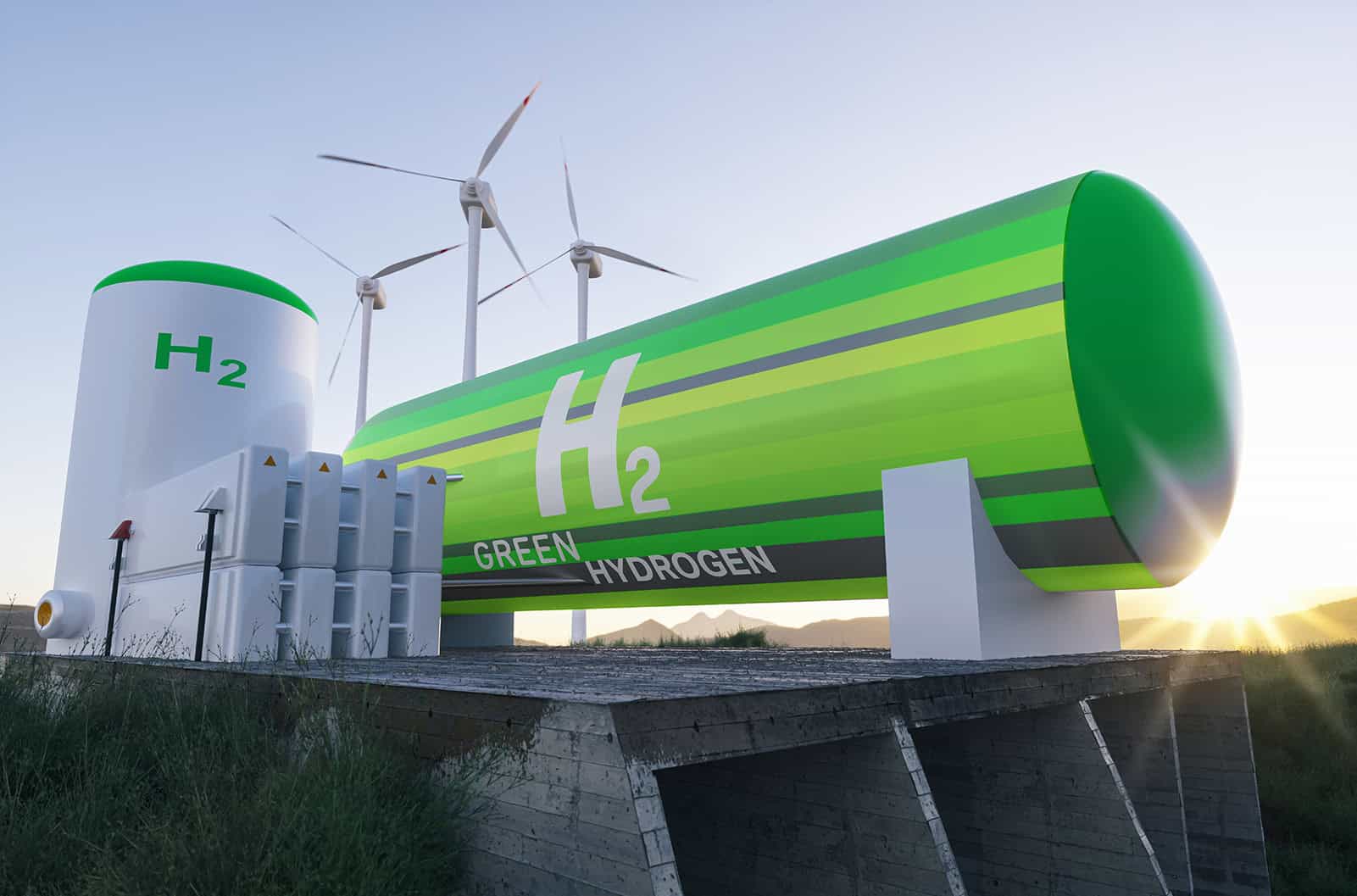 Net Zero Consultant, Net Zero Hull, Sustainability Consulting
